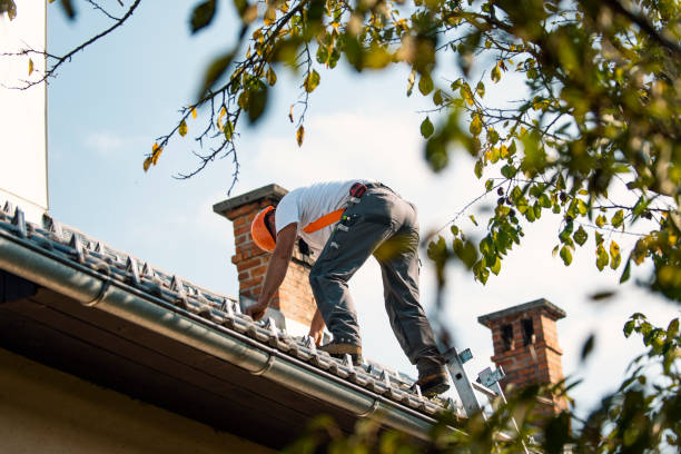 Best Hot Roofs  in Litchfield, IL