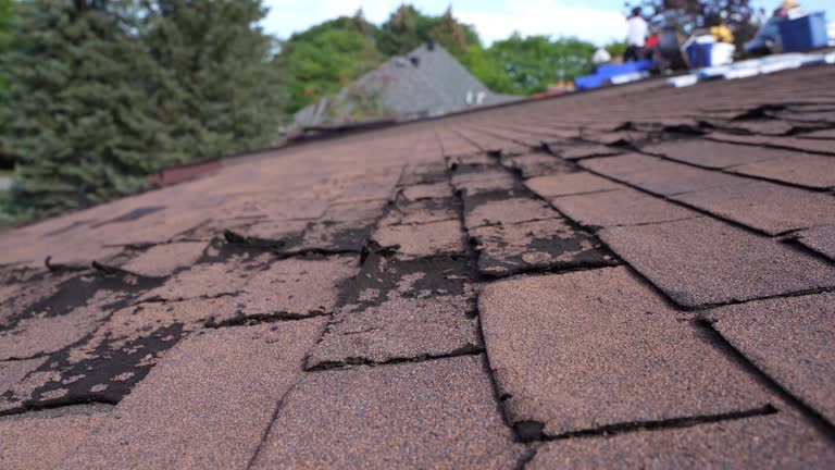 Best Chimney Flashing Repair  in Litchfield, IL